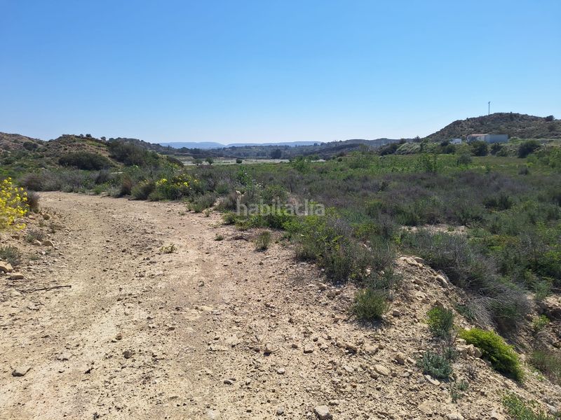 Foto 89f99656-7ed4-405f-9dd7-5ff00bf4bd5d. Finca rústica a Monforte del Cid