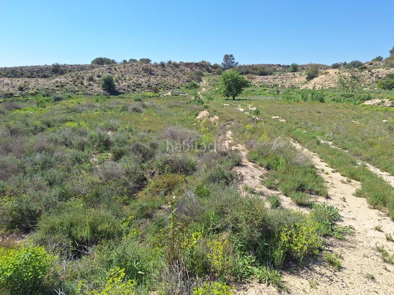 Foto aa83af32-73b1-4422-b6b3-a20d14bdf234. Finca rústica a Monforte del Cid