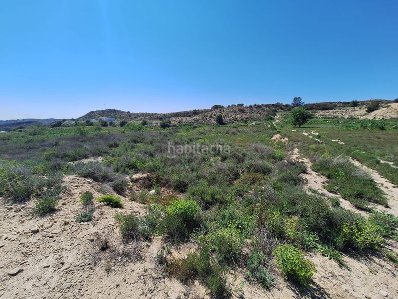 Foto acbc2932-e536-496c-a0a6-c1980c4ae9d9. Finca rústica a Monforte del Cid