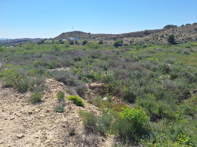 Foto b06aee6b-06a5-4d47-b28a-d50fab7342bc. Finca rústica a Monforte del Cid