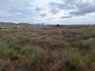 Finca rústica a Agost. Oportunidad muy interesante¡¡¡¡¡¡