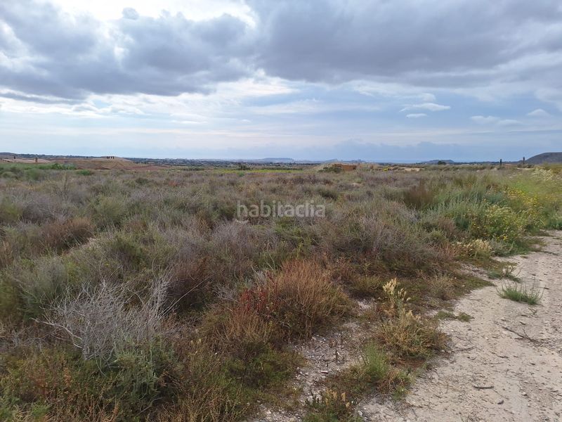 Foto 5a9165a4-8600-44d5-9432-d077c10133e1. Finca rústica a Agost
