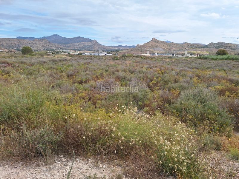 Foto 5c0c57b5-27a5-4600-83f0-e16b2b842da9. Finca rústica a Agost