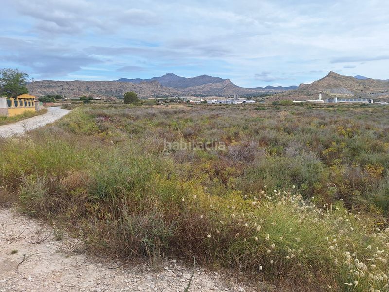 Foto c5735d02-9093-4a2f-a43b-bad4096e0480. Finca rústica a Agost