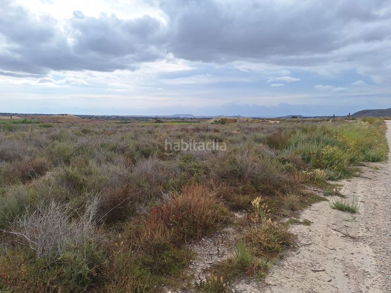 Foto c7d592e7-5d54-4d42-92b4-97fe46c1a6c3. Finca rústica a Agost