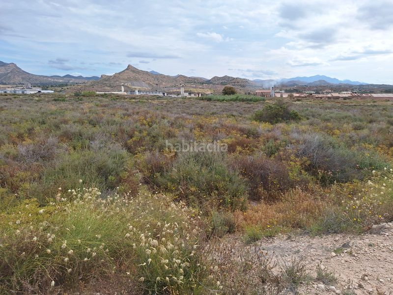 Foto dd529aef-8477-4541-88e4-944798a1b4a9. Finca rústica a Agost
