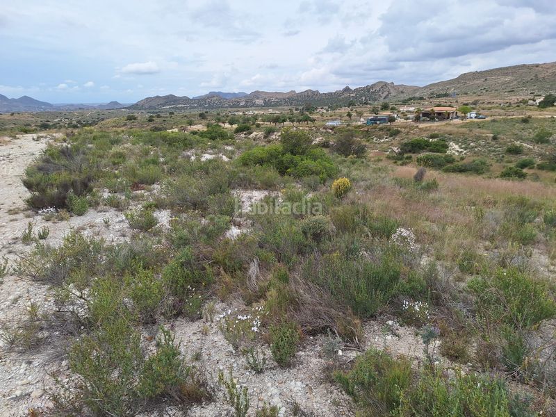 Foto 0b6dd337-5c31-4afc-97a0-c82ca683c15d. Finca rústica a Moralet Alicante