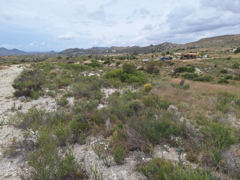 Foto 12a1f275-aed3-4327-a9b7-a0d596c268f1. Finca rústica a Moralet Alicante
