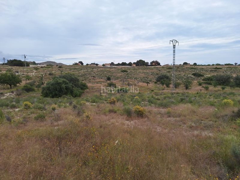 Foto 5f2b7d77-664e-4426-b8d8-77d3bfd50b22. Finca rústica a Moralet Alicante