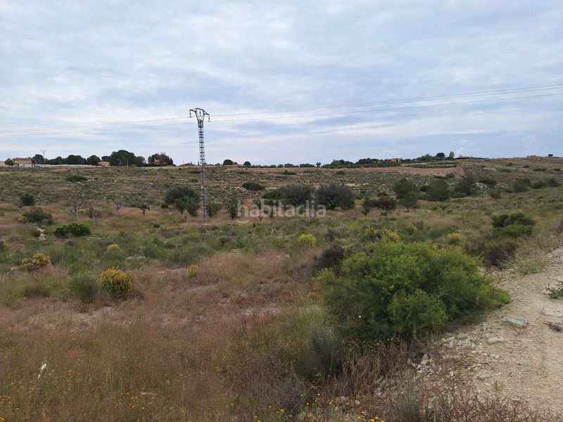 Foto 5f753acc-8d78-4df3-becb-4cc1b3a55f56. Finca rústica a Moralet Alicante