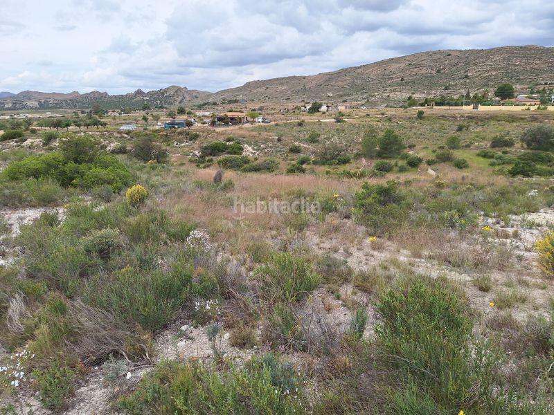 Foto 755ed0dd-f0c0-4136-bb67-3574029f86f6. Finca rústica a Moralet Alicante