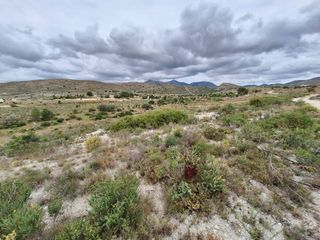 Finca rústica a Moralet. Oportunidad muy interesante¡¡¡¡¡¡