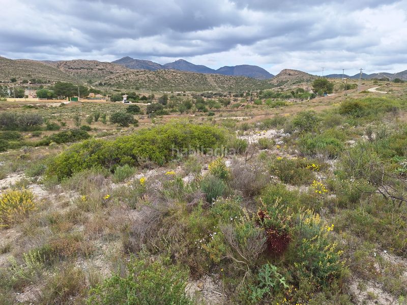 Foto b4c9bd01-26d2-412a-85a3-912bac5d7510. Finca rústica a Moralet Alicante