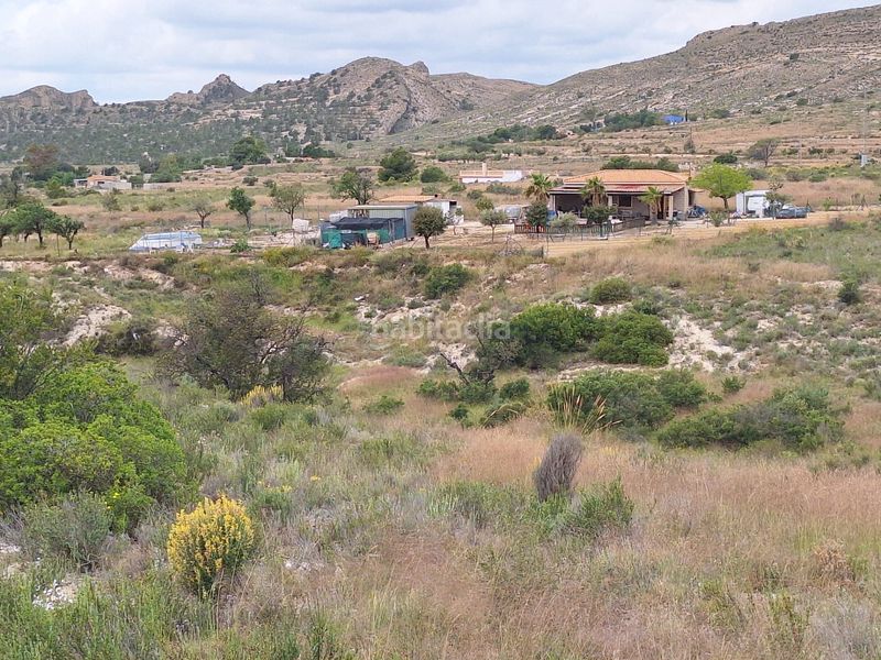 Foto b9aa695b-184b-464f-91d3-f277a82d73cf. Finca rústica a Moralet Alicante
