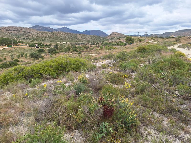 Foto ce9114e4-f980-49fd-95d2-822a2a945b08. Finca rústica a Moralet Alicante