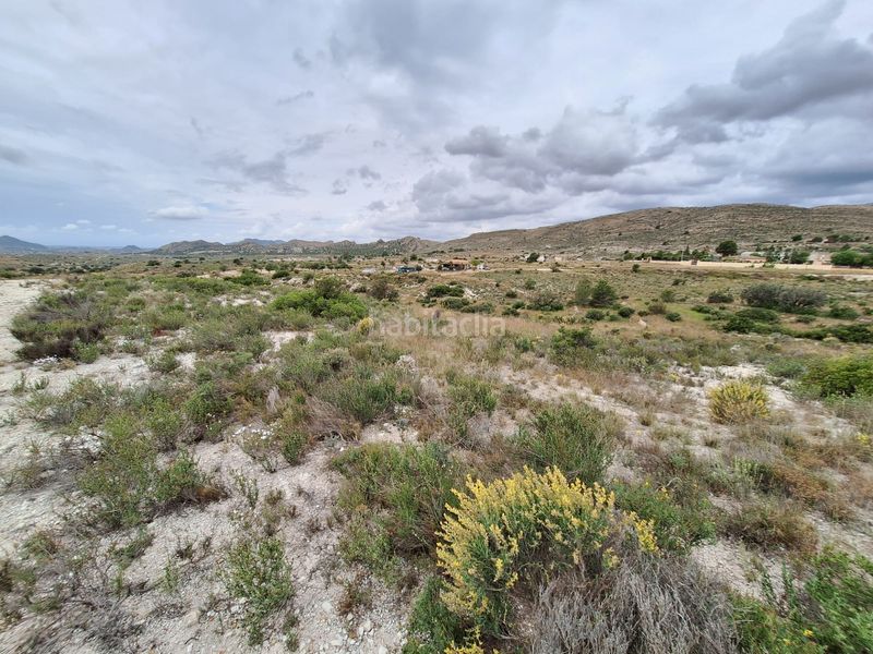 Foto d3d0743b-583f-4d9b-a0b7-1d839f031832. Finca rústica a Moralet Alicante