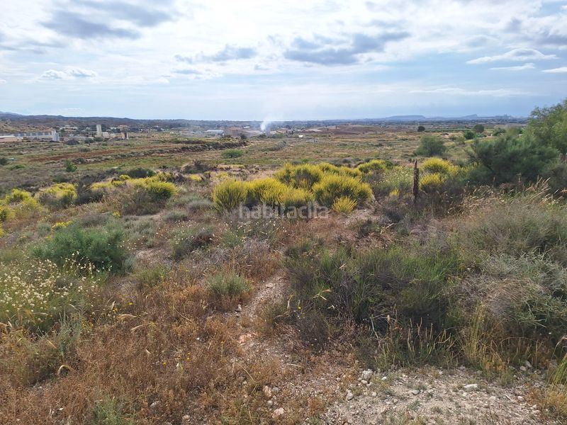 Foto 6b9dd07e-29e4-4c65-af77-81cc684fe8c4. Finca rústica a Agost