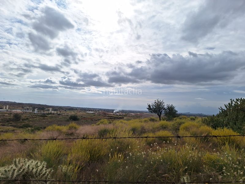 Foto 750f3bde-b7eb-4e4a-a667-b25bc085c617. Finca rústica a Agost