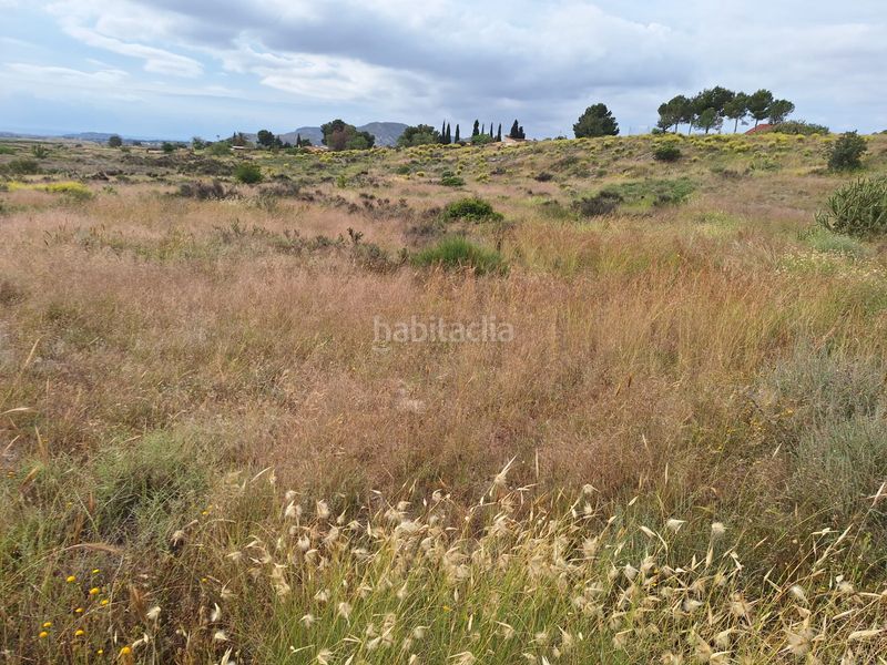 Foto 7e2b9a3a-1687-47f6-b4ec-67d572e56b7d. Finca rústica a Agost