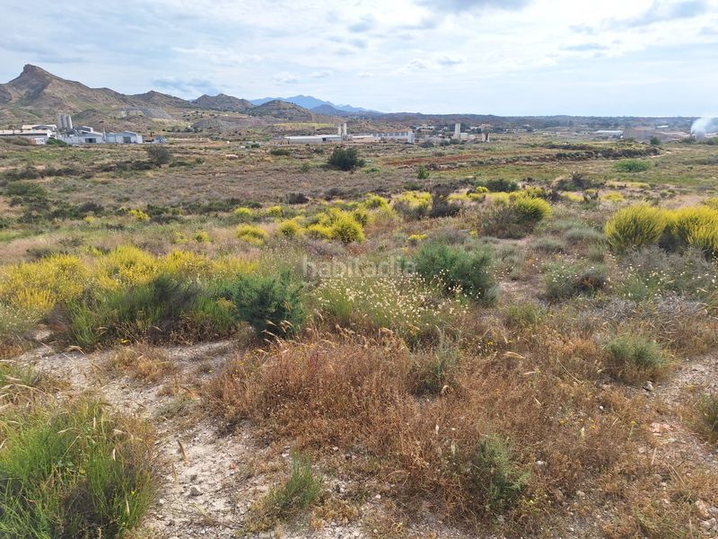 Foto 8e2f48dd-fc59-4c95-a76d-707b5bf91d25. Finca rústica a Agost