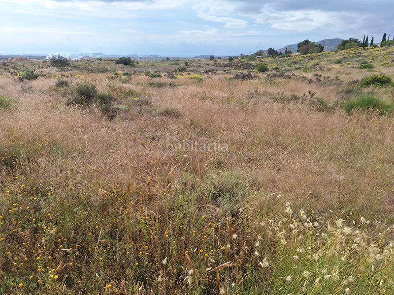 Foto 8fafeae6-6a4d-41a0-88b8-c26a13398f16. Finca rústica a Agost