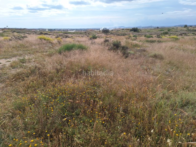 Foto c7b18a89-bccf-4aff-b4c3-64178881d10a. Finca rústica a Agost