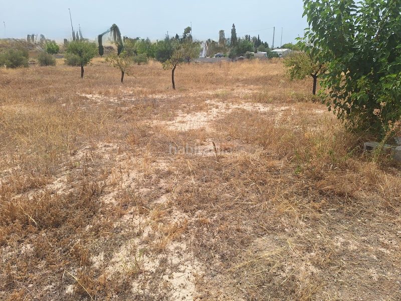 Foto 1b1c7c32-d12d-49cc-afdb-c805abba32f7. Chalet oportunidad muy interesante chalet en suelo urbano¡¡¡¡¡¡ en Alicante