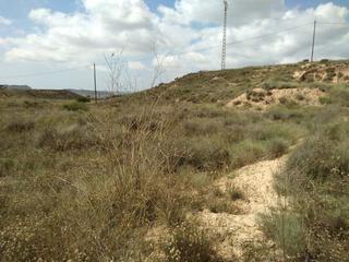 Rural plot in Fontcalent