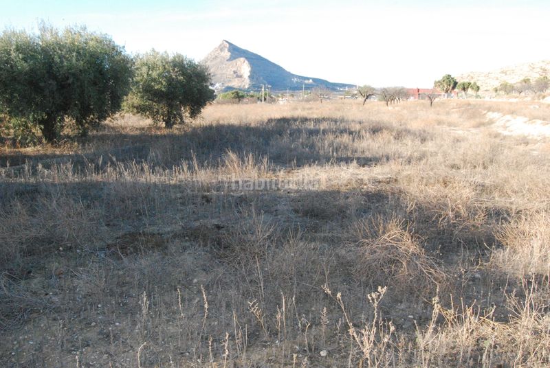 Foto 1e571e7f-2334-445d-b779-7ebb797d0116. Masia amb aparcament a Cañada del Fenollar Alicante