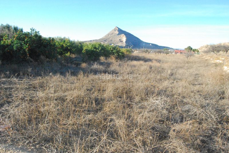 Foto a7e031ab-8bc7-4955-b4ea-dafdc5b7e915. Masia amb aparcament a Cañada del Fenollar Alicante