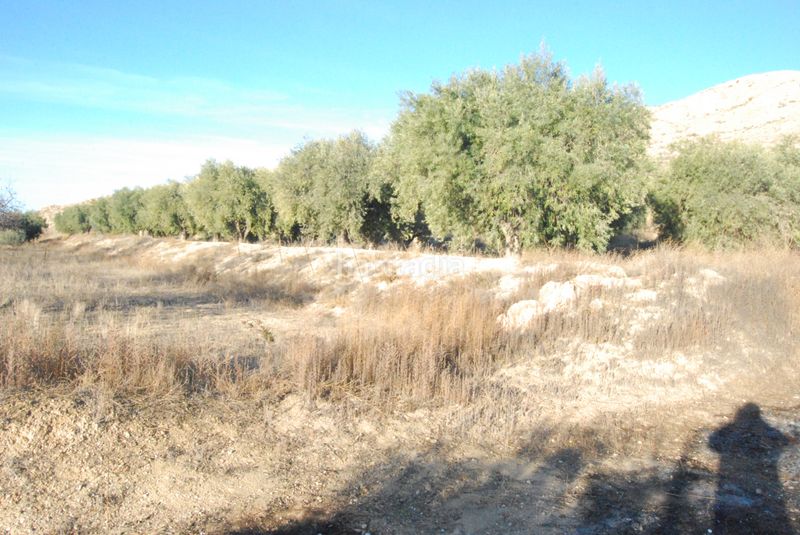 Foto e4ae3a5b-a7f6-44e9-8937-d354181b8737. Masia amb aparcament a Cañada del Fenollar Alicante