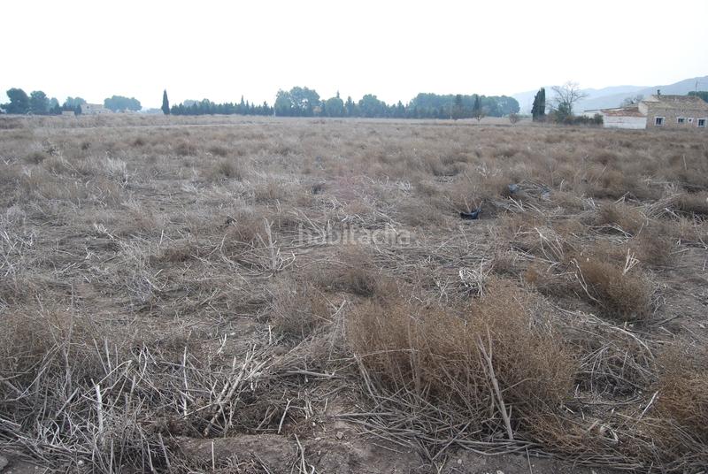 Foto e24bbe3e-1b8a-4703-9d2c-18eebb356aad. Propriété dans El Carril - Paseo de Chapi Villena