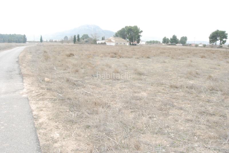 Foto 7e1cec95-316a-4df9-bd4e-a7d8de94fa42. Rural plot in El Carril - Paseo de Chapi Villena