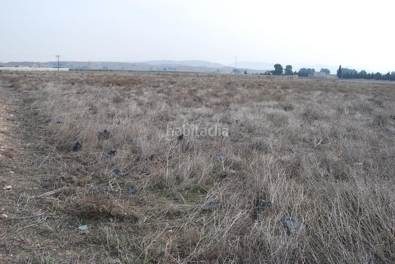 Foto d005179a-47bd-410e-8665-6e92a0e2bee5. Rural plot in El Carril - Paseo de Chapi Villena