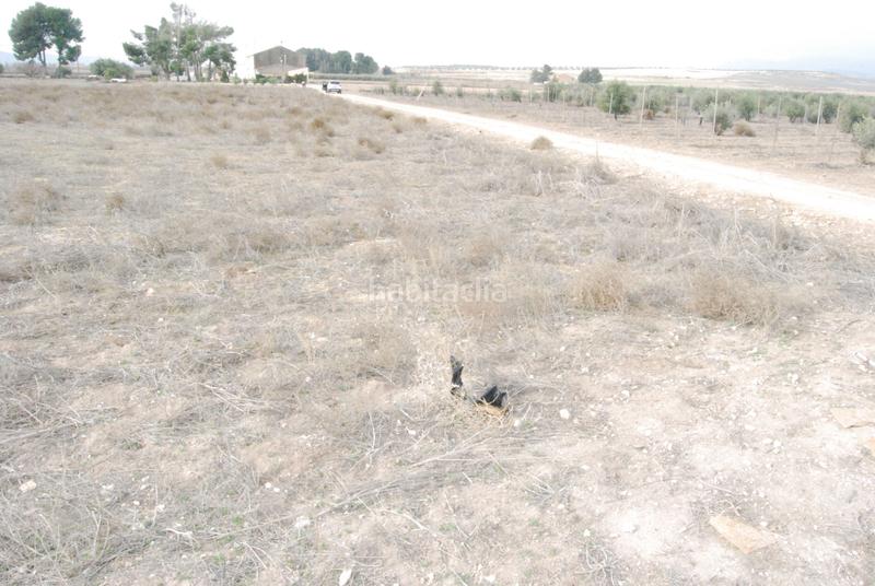 Foto 03d355c6-51d6-43e5-858a-ca4135c1a327. Finca rústica a El Carril - Paseo de Chapi Villena