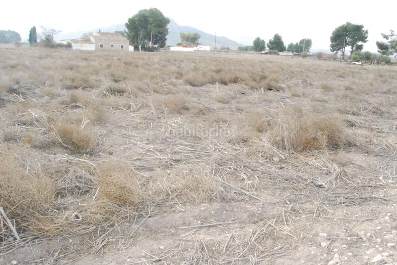 Foto 6e5295e2-0ca7-4943-97f0-8612aee21f3a. Finca rústica a El Carril - Paseo de Chapi Villena