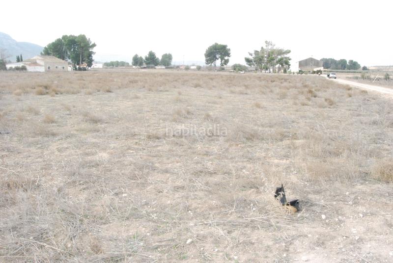 Foto b9284a2e-03f5-40b9-94ad-161e215dce1d. Finca rústica a El Carril - Paseo de Chapi Villena