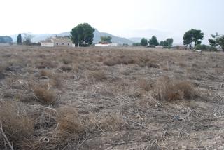 Propriété à El Carril - Paseo de Chapi