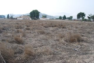 Rural plot in Villena. Finca rústica