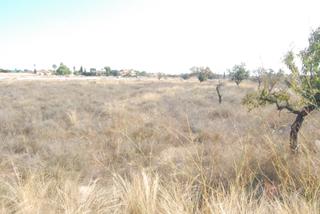 Fondo rustico in Villamontes-Boqueres