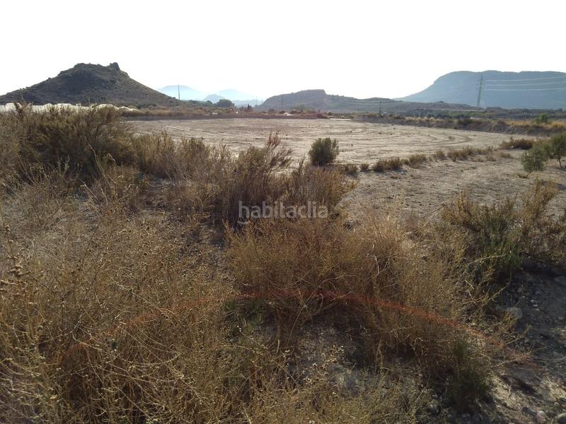 Foto b691e92e-997b-4105-ace3-78ac96c47fb2. Fondo rustico in Agost