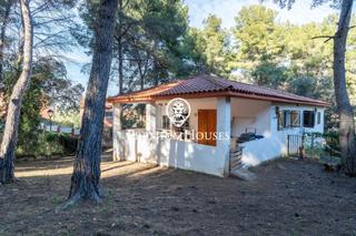 Haus in La Mora. Casa en la mora con gran parcela