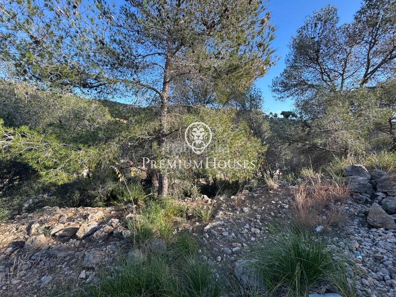 Foto 4d240fd8-8f56-45e6-8349-b9ac489e1189. Wohngrundstück in Mas Alba Sant Pere de Ribes