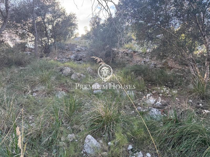 Foto fbd867c5-bd73-4bd8-b495-d41014bbd687. Wohngrundstück in Mas Alba Sant Pere de Ribes