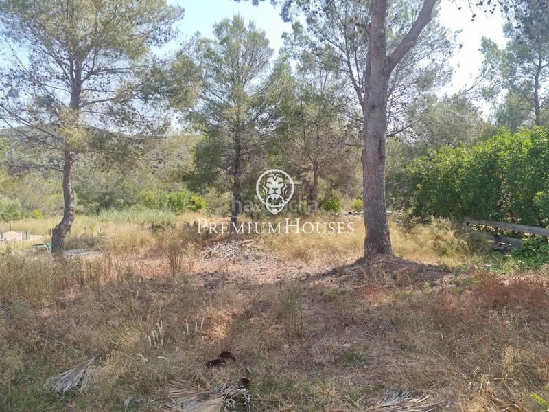 Foto c6837354-aa17-4ace-8c20-865e7f74006e. Finca rústica a Vallpineda - Rocamar Sant Pere de Ribes