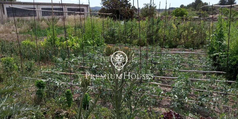 Foto 513fd834-8d72-4239-9787-5a3752b83a5f. Terreno residenziale in Secuita (La)