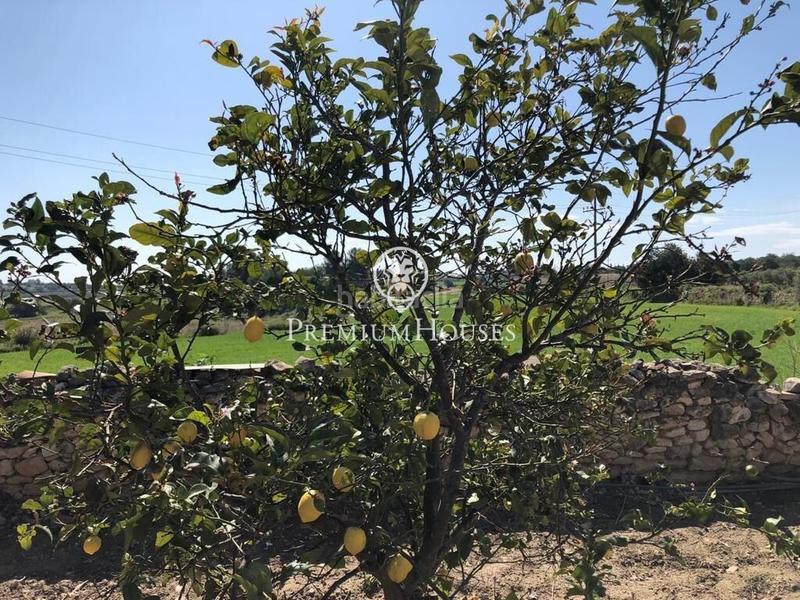 Foto f6eeacf6-4d26-4022-a9b0-6e8ec0301b97. Terreno residenziale in Secuita (La)