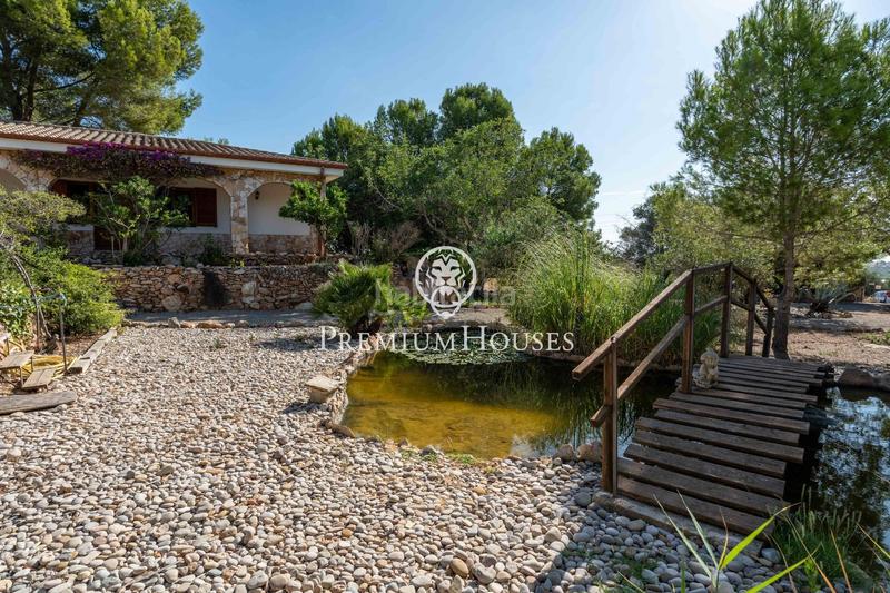 Foto b8138671-da7b-4c02-bf9f-843ddfc0802b. Casale in polígono diseminado 7 parcela 10 in Altafulla