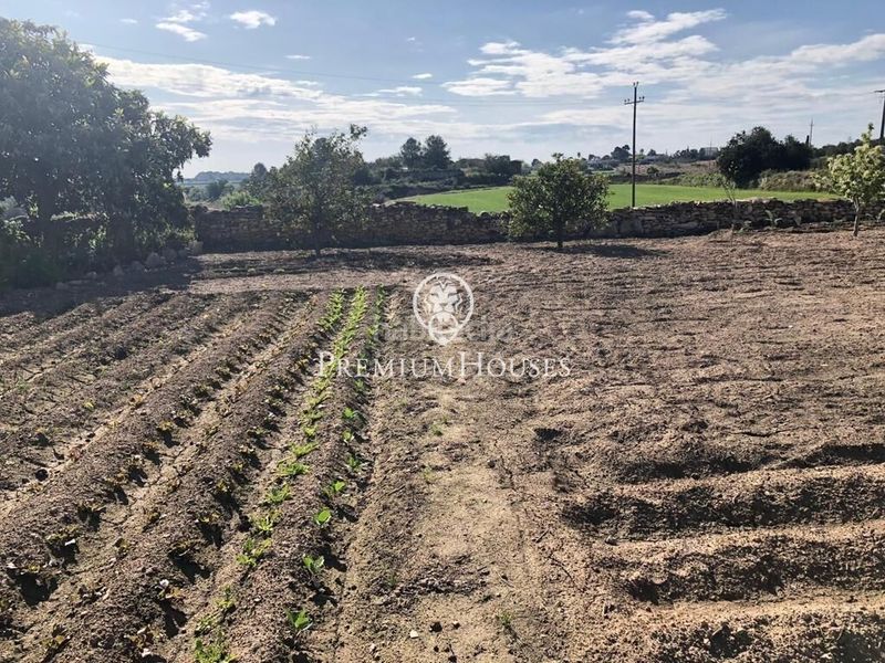 Foto df289e03-75da-4f47-b25d-b26df63c4e5e. Terreny residencial a Secuita (La)