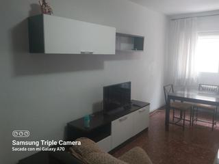 Alquiler Piso en Calle doctor sánchez mariscal 5. Piso para estudiantes